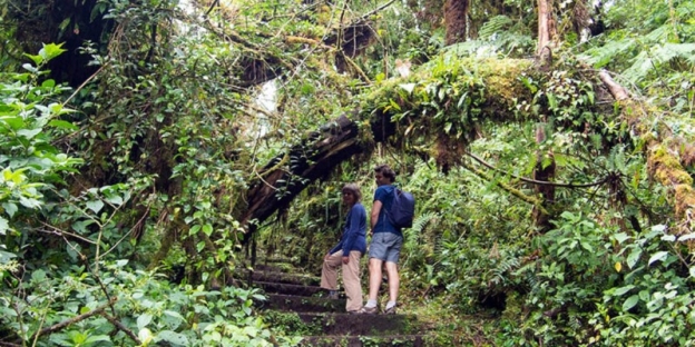 A person and person walking down a path in the woods AI-generated content may be incorrect.