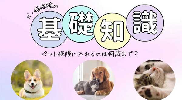 🐶🐱「ペット保険って本当に必要？」〜万が一に備えるという選択〜