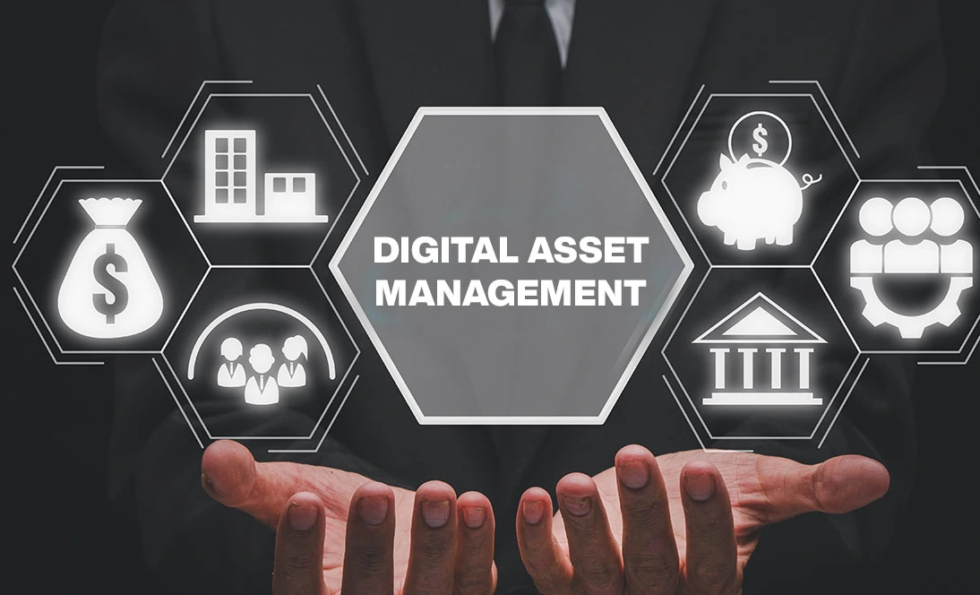 Maximizing Business Efficiency Through Asset Management Software